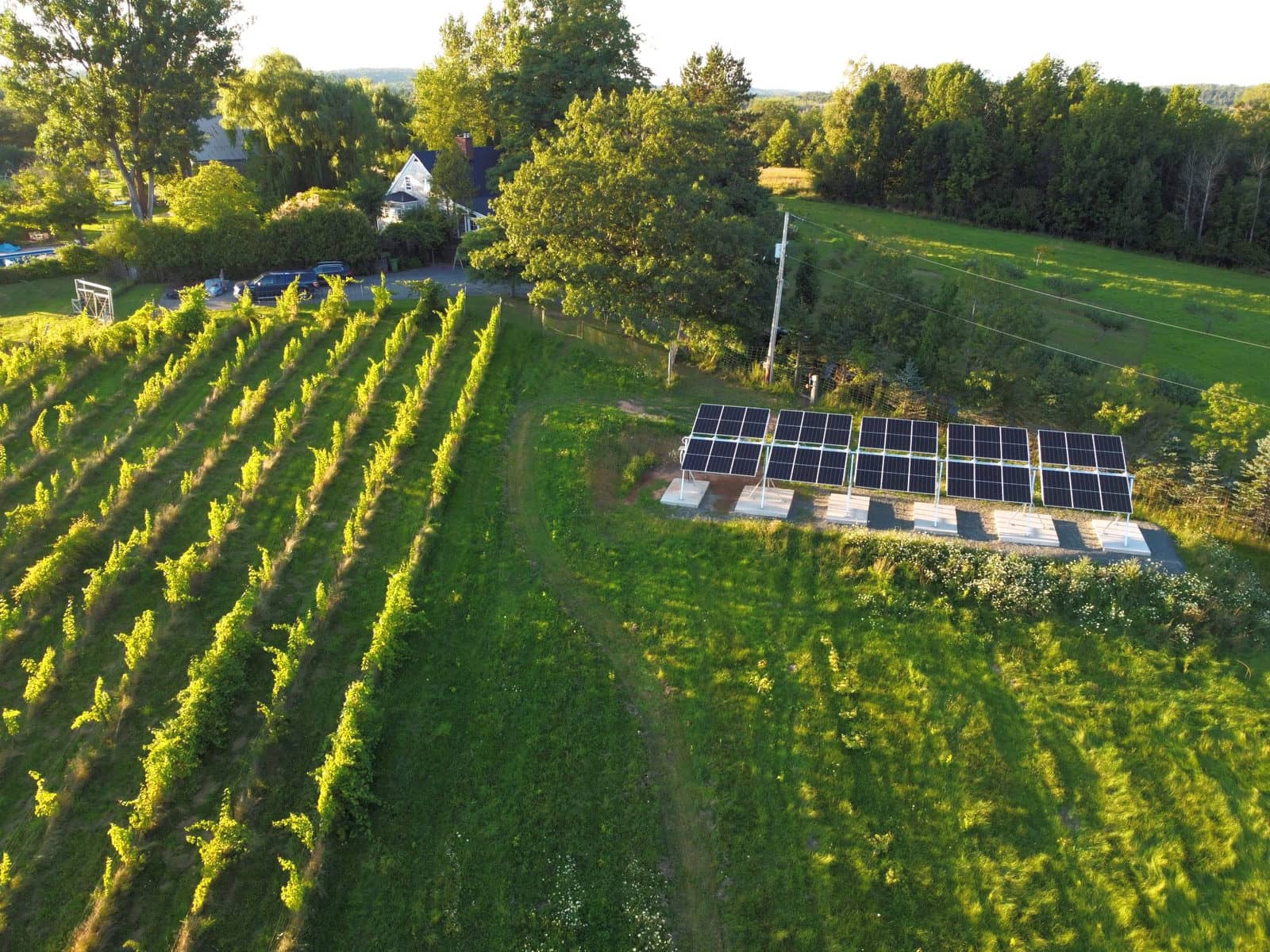 30-panel seasonally-adjustable array at a Falmouth farm